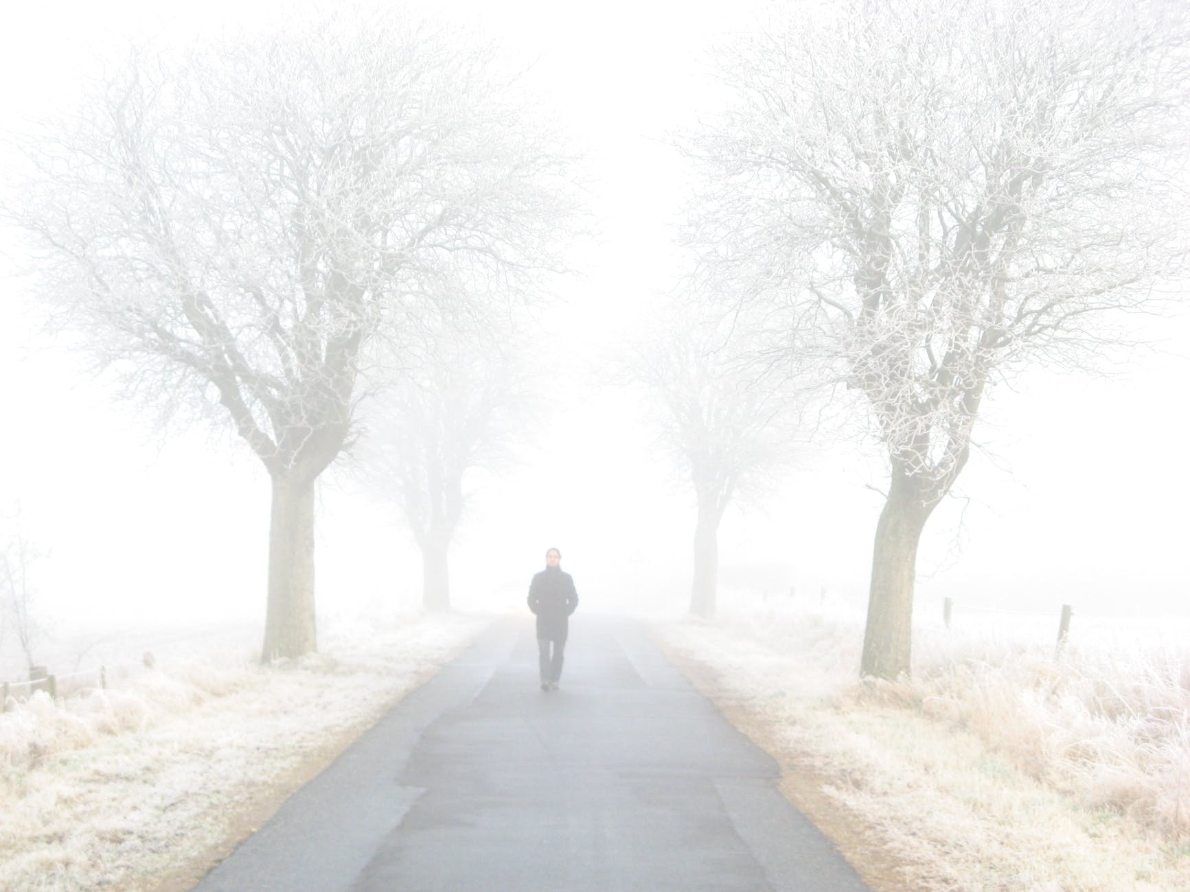 man standing on road between bare trees